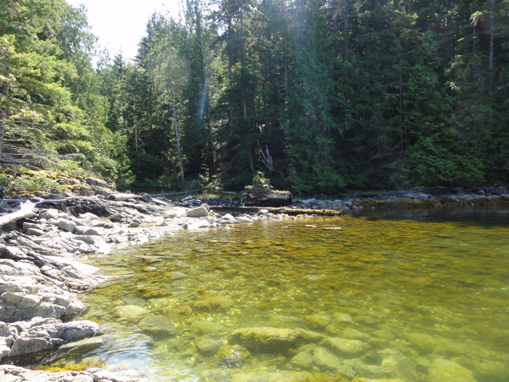 Robertson Lake